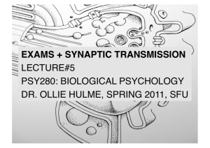 EXAMS + SYNAPTIC TRANSMISSION LECTURE#5 PSY280