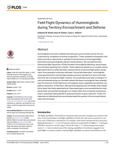 Field Flight Dynamics of Hummingbirds during Territory