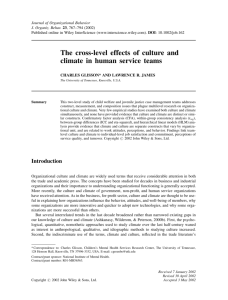 The cross-level effects of culture and climate in human service teams