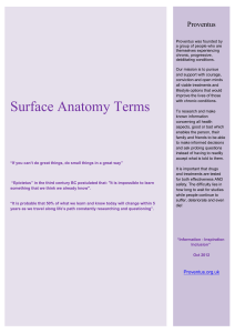 Surface Anatomy - pdf