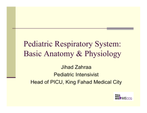 Pediatric Respiratory System: Basic Anatomy & Physiology