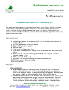 Fern Micropropagation - PhytoTechnology Laboratories