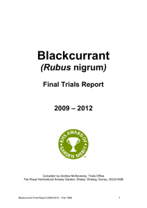 Blackcurrant Final Report - Royal Horticultural Society