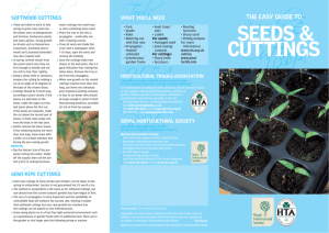 Seeds & Cuttings - Ruxley Manor Garden Centre