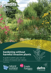 Gardening without harmful invasive plants