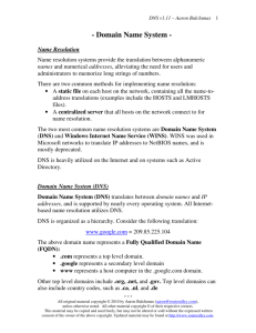 Domain Name System (DNS)