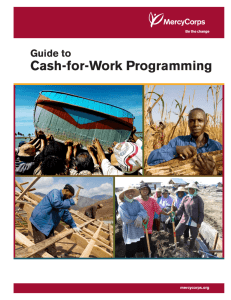 Cash-for-Work Programming