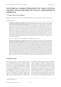 anatomical characterisation of teak (tectona grandis) wood decayed