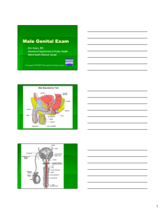 Male Genital Exam - Health Care Education & Training