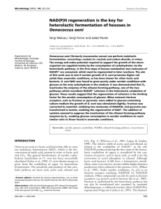 NAD(P)H regeneration is the key for heterolactic fermentation of
