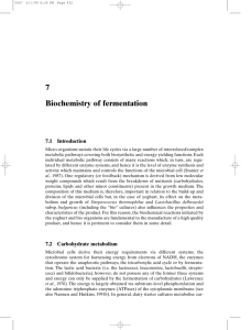 7 Biochemistry of fermentation
