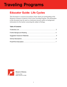 Educator Guide: Life Cycles