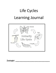 Life Cycles Learning Journal