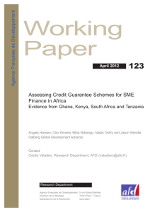 Assessing Credit Guarantee Schemes for SME Finance in