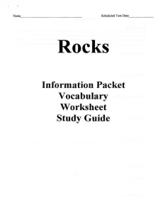 Information Packet Vocabulary Worksheet Study Guide
