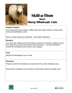 Skill-a-thon: Sheep Wholesale Cuts Identification - Missouri 4-H