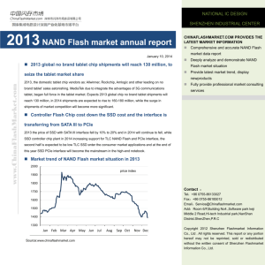 2013NAND Flash market annual report