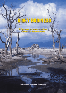Risky Business - Environmental Justice Foundation
