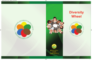 Diversity Wheel - Extension Districts