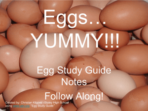 Egg Study Guide Notes Follow Along!