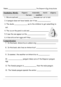 Study Guide Emperor's Egg - Primary Grades Class Page