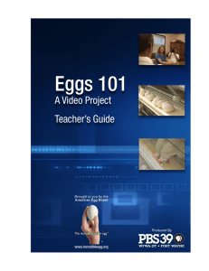 Eggs 101 - American Egg Board