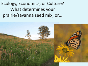 Ecology, Economics, or Culture? What determines