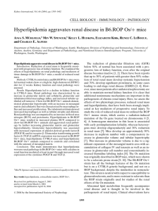 Hyperlipidemia aggravates renal disease in B6.ROP Os/+ mice