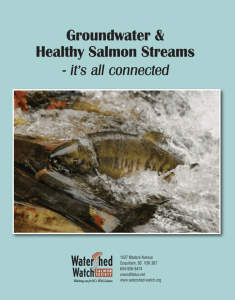 Groundwater & Healthy Salmon Streams