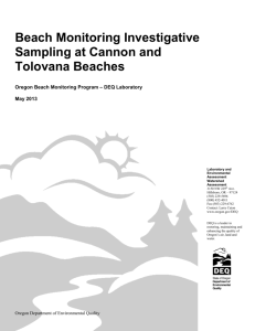 Beach Monitoring Investigative Sampling at Cannon and Tolovana