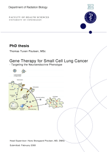 Gene Therapy for Small Cell Lung Cancer