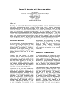 Dense 3D Mapping with Monocular Vision