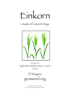 Einkorn Recipes - Heritage Grain Conservancy