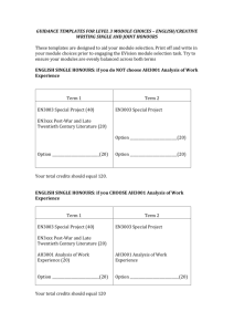 GUIDANCE TEMPLATES FOR LEVEL 3 MODULE CHOICES