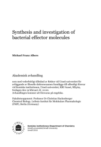 Synthesis and investigation of bacterial effector molecules