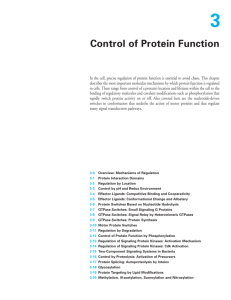 Control of Protein Function