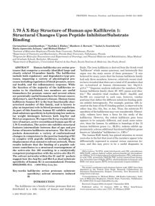1.70 Е X-ray structure of human apo kallikrein 1