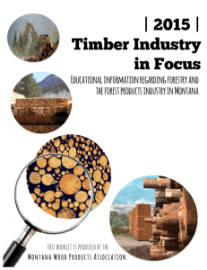 2015 | Timber Industry in Focus