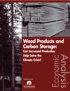 Wood Products and Carbon Storage: