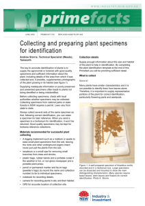 Collecting and preparing plant specimens for identification