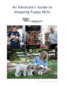 "An Advocate's Guide to Stopping Puppy Mills"