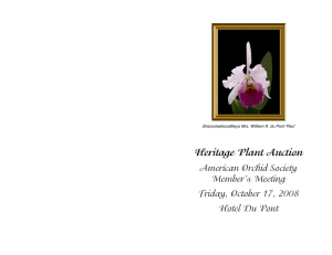 Heritage Plant Auction - American Orchid Society