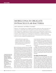 MOBILE DNA IN OBLIGATE INTRACELLULAR BACTERIA