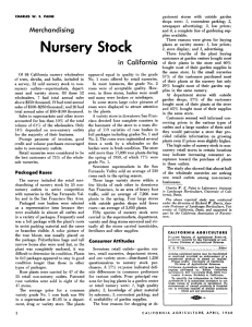 Merchandising Nursery Stock in California