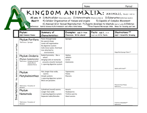 Animals Worksheet