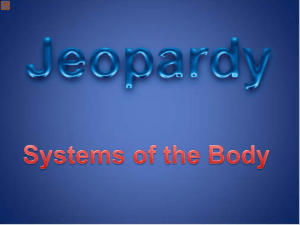 Systems of the Body Jeopardy