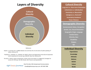 Diversity Layers Handout