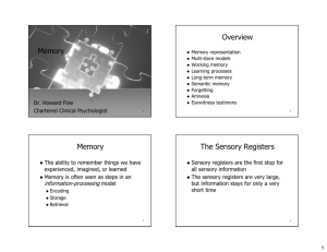 Memory Overview Memory The Sensory Registers