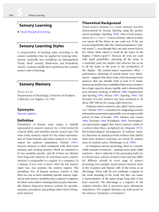 Sensory Learning - Lobes - Laboratory Of Brain ProcessES