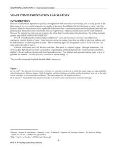 Additional Lab: Yeast Complementation Laboratory